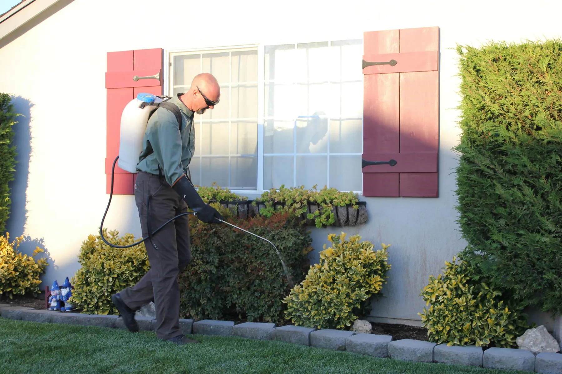Tratamiento perimetral de una vivienda para prevenir plagas en Asturias